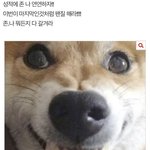 [NCT드림] 겨울 스페셜 앨범인데 성적에 <b>연연</b>