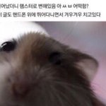 [NCT드림] 진짜 ㅅㅂ 내가 <b>캔디</b> 보고싶어서