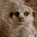 [NCT드림] 개쓰레기요일을 버틴 <b>대가</b>가... 고작 이거..?