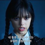 [19] 웬즈데이 개꿀<b>잼</b>