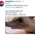 [TXT] 모야