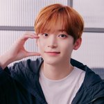너네 본진 마마대상이 좋아 멜론대상이 좋음?