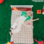 [NCT드림] 천러 꼬리 나왔어