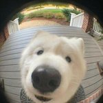 혐) 내 허벅지 피부 왜 이러는걸까..