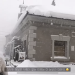 [조언부탁해] 얘들아 <b>부츠</b> 어디서 사??
