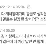 얘 <b>머리속</b>이 궁금하다