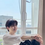 멍뭉미훈남의 <b>정석</b>