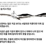 이거 나 <b>추</b><b>합</b>될 거란 소리임?