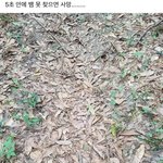 숨은 <b>뱀</b> 찾아봐