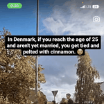 덴마크에서 25살 <b>미혼</b>이면 벌어지는 일