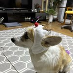 <b>개기</b><b>욥</b>지