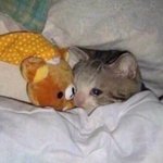 [NCT드림] 끝은<b>없어</b>..지켜봐줘..