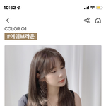 머리색 추반좀