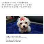 고객 리뷰에 급발진 하는 어느 판매자ㅋㅋㅋ(30대방 톡선에 <b>오름</b>)