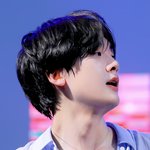 팬들 사이에선 이미 정변의 아이콘