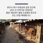 12월 19일은 제가 죽는 날입니다