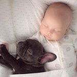 <b>손난로</b> 만큼 따뜻한 아이&amp;동물 조합