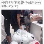 [댓글부탁해] 비밀 말하고 가자
