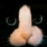 1월1일에 애들이랑 놂ㅎㅎ