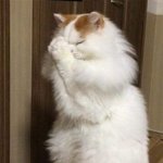 <b>다섯</b> 시간만에 과학 끝내기