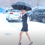 [이상형] 정수빈 <b>NEW</b> 이상형 떳슴다