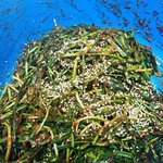 [밥도둑] 밥하는<b>재미</b>2