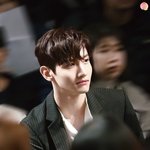 그러고보면 스엠 캐스팅 ㄹㅇ 소나무임