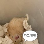 [댓글부탁해] 진짜 연예인급으로 예쁜 일반인 있잖아