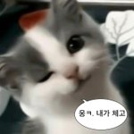 [NCT드림] 착장으로 <b>질</b>알하던 <b>어</b>그로들