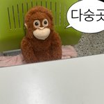 어깨 넓으면 볼레로