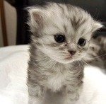 환연2 지연 같은 <b>인간상</b> 주위에 하나씩 있지 않냐