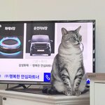 <b>샤</b>비는 힐링입니다  2