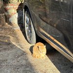 [댓글부탁해] 나도 <b>토모</b>토모 같은 연애하고 싶은데
