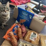 호기심 많은 키키