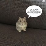 [댓글부탁해] 개웃긴 한국 남자들의 사상