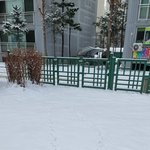 울집 강아지 온도 차 너무 심해서 귀여움