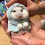 [댓글부탁해] 고3 <b>수능</b> <b>공부</b> 조언 좀 해주라 ㅜㅜ