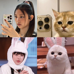 고양<b>이상인</b> 뉴진스 해린