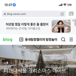 더현대 <b>트리</b> 보고 온사람 ㅈㅂ