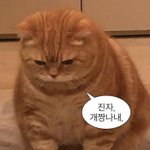 <b>자존</b>잠 낮으면 이렇대