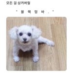 [드루와] 살면서 사람한테 제일 설렜을 때 얘기해보자
