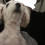 엄마 몰래 오늘 학교 <b>생결</b> 썼는데