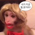 [드루와] 남친 크리스마스선물 추반좀