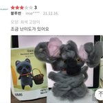 [드루와] 얘들아 경락 받고 <b>증사</b> 찍을 건데 골라줘