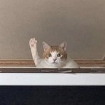 [댓글부탁해] 나 방금 <b>개소</b>름끼치는거봄ㅠㅠㅠ