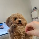 얼렁뚱땅 <b>박영</b>탱을 보고가세요1!!!!!