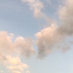 하 이거 ㄹㅇ 어쩌냐