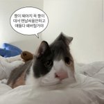 [댓글부탁해] 카페알바생이 선글라스 쓰고 일하고 있음 어떨 것 같음