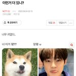 [NCT드림] 심심한 애들아 이거 함 봐봥