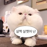 [댓글부탁해] 나랑 본진이랑 유사연애 먹을려고